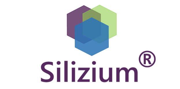 Grupo Silizium
